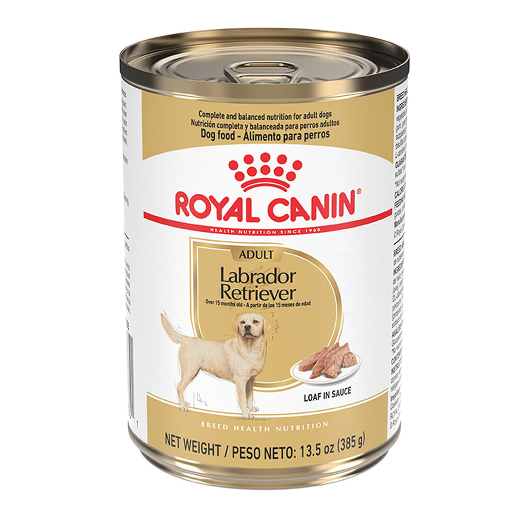 Royal Canin Breed Health Nutrition Labrador Retriever Loaf in Sauce Wet Dog Food 385 g can