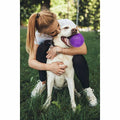 Gnawsome - Squeak Ball 4.5in