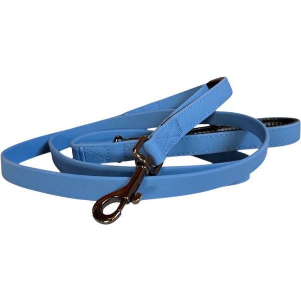 Smellydogz Double Handle Lead – Blue (0.75 in × 6 ft)