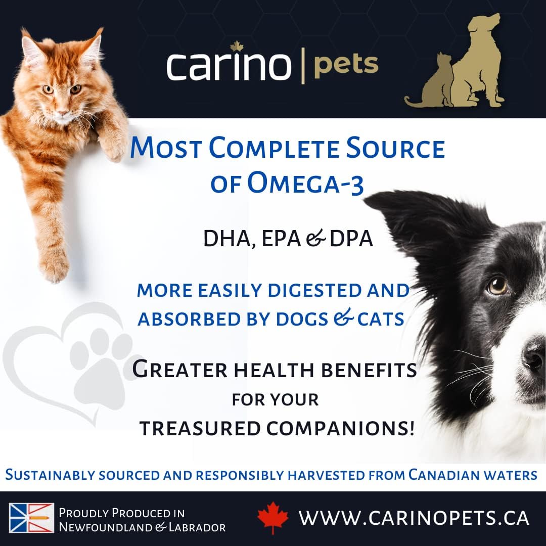 Carino Pets Omega-3 Harp Seal Oil for dogs and cats 250ml liquid supplement