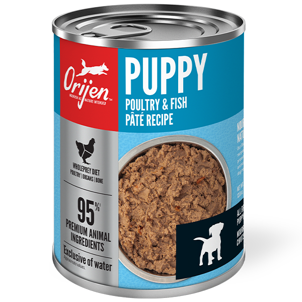 ORIJEN Dog Puppy Poultry & Fish Pâté Wet Dog Food 12 x 363g