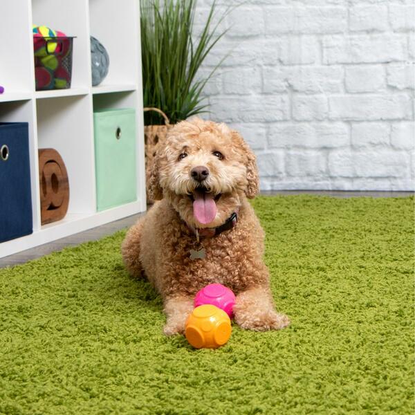 GoDog Silent Squeak Ball – Orange & Pink 2-Pack
