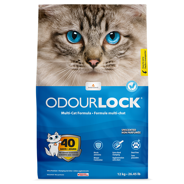 Intersand - OdourLock Cat Litter Unscented 12kg