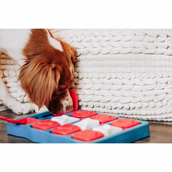 Nina Ottosson Dog Brick Puzzle