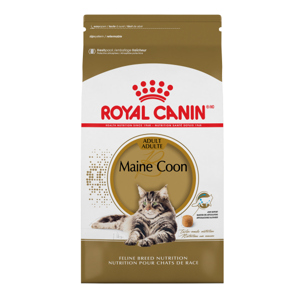 Royal Canin Feline Breed Nutrition Maine Coon Adult Dry Cat Food 6 lb