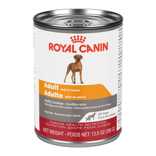 Royal Canin Canine Health Nutrition Adult in Gel Wet Dog Food 385 g (Case of 12)