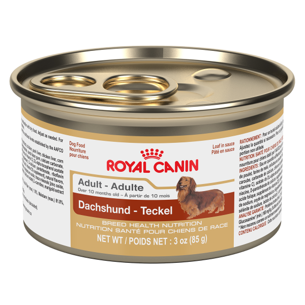 Royal Canin Breed Health Nutrition Dachshund Loaf in Sauce Wet Dog Food