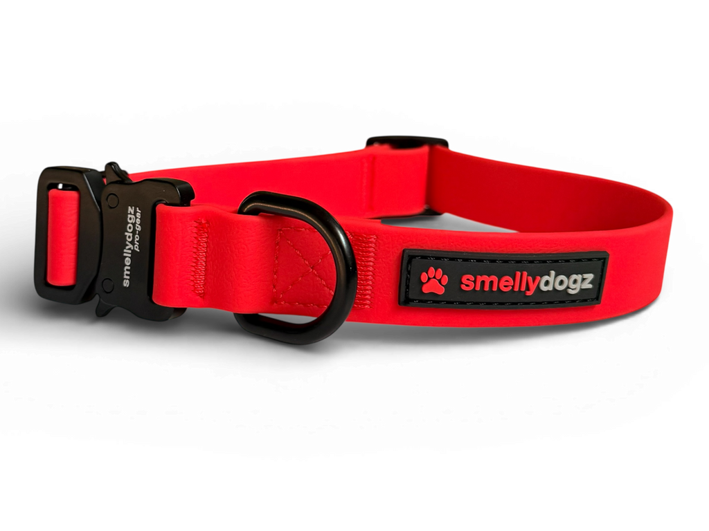 Smellydogz Adjustable Comfort Collar black 1.25 in 22-28 in large dog collar