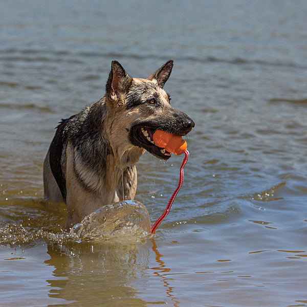KONG Aqua with Rope — Medium