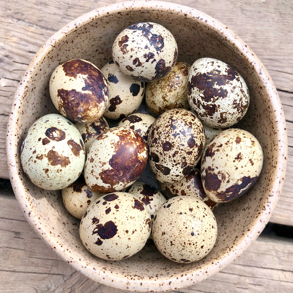 Big Country Raw frozen quail eggs 18-pack speckled eggs