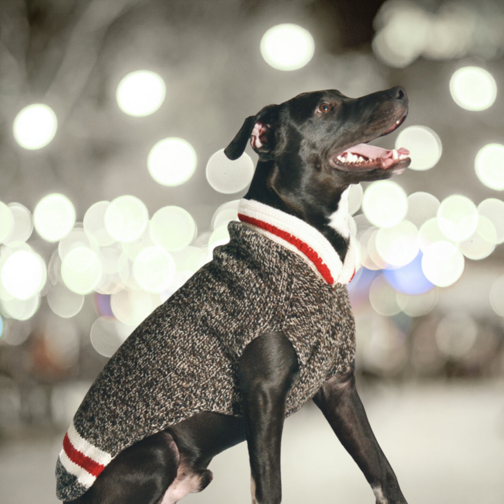 Chilly Dog Boyfriend Dog Sweater grey black and white hand knit wool xxx-large