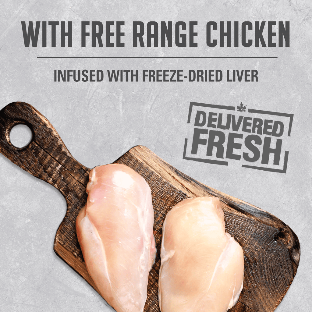 Nutrience Infusion Free Range Chicken pâté wet cat food 156g can
