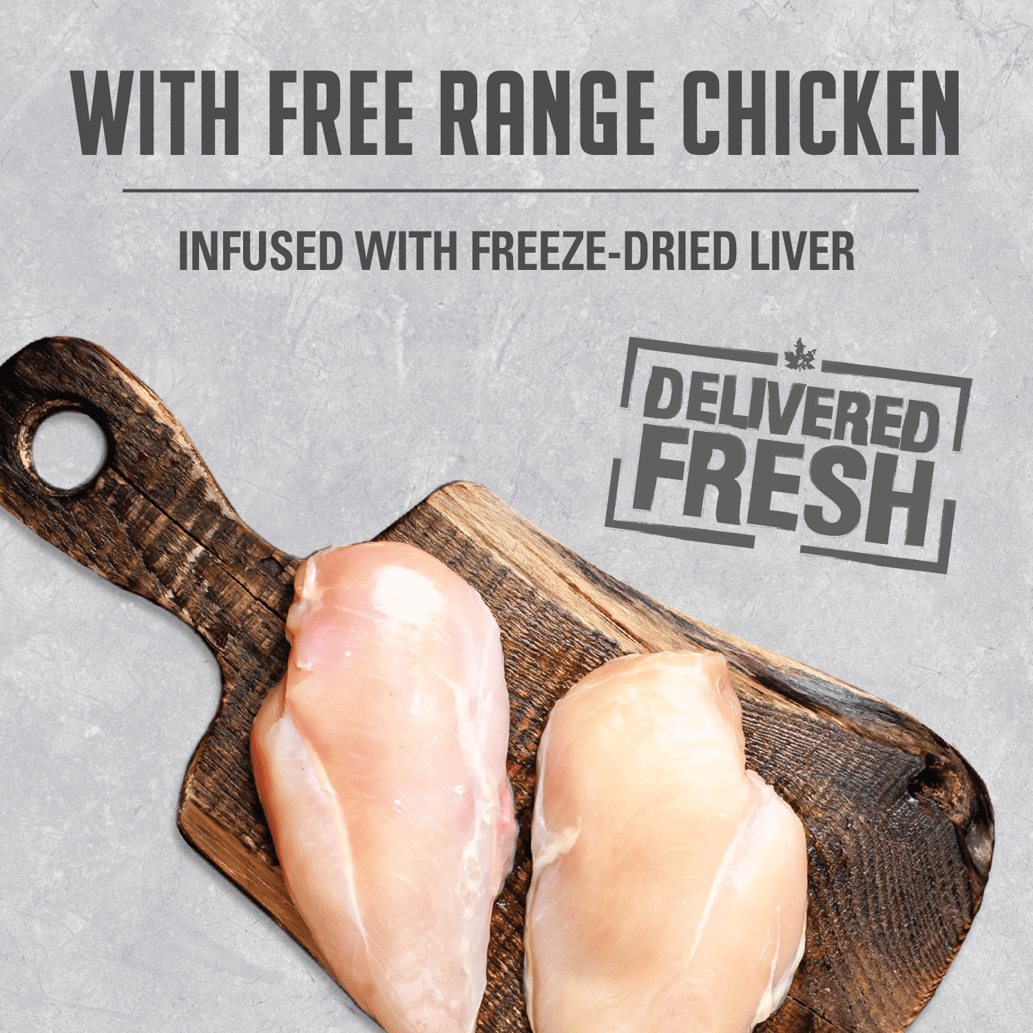Nutrience Infusion Free Range Chicken pâté wet cat food 156g can