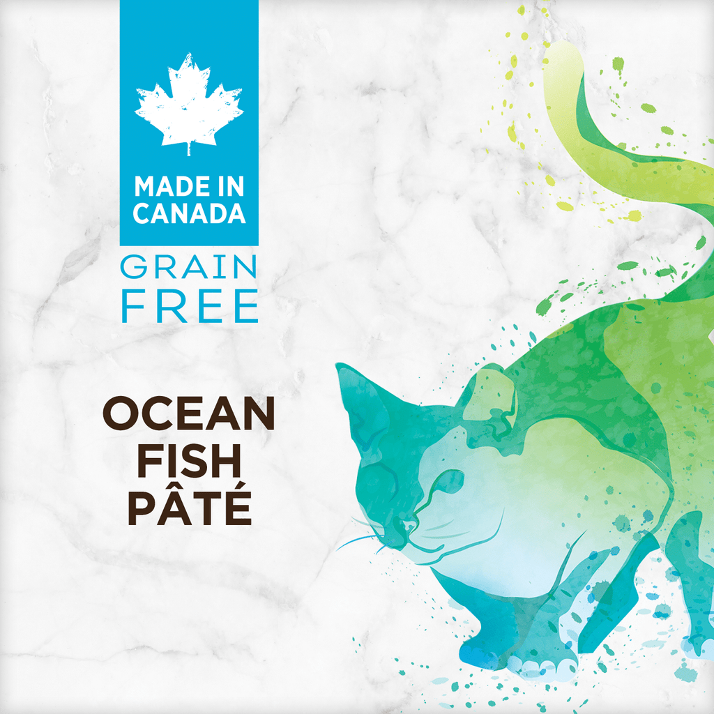 Nutrience Grain-Free Ocean Fish pâté wet cat food 156g can