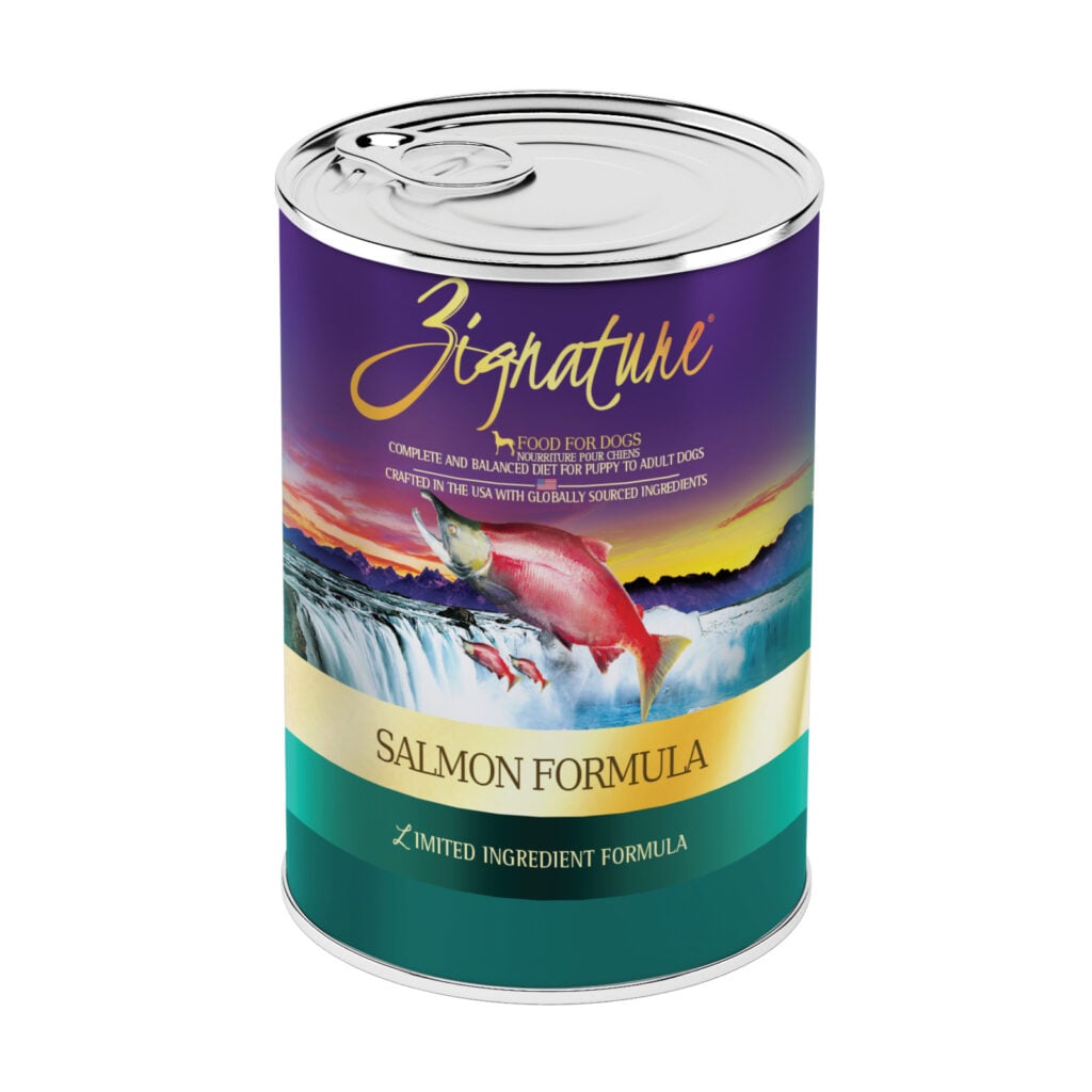 Zignature Limited Ingredient Salmon Pâté wet dog food 13 oz can