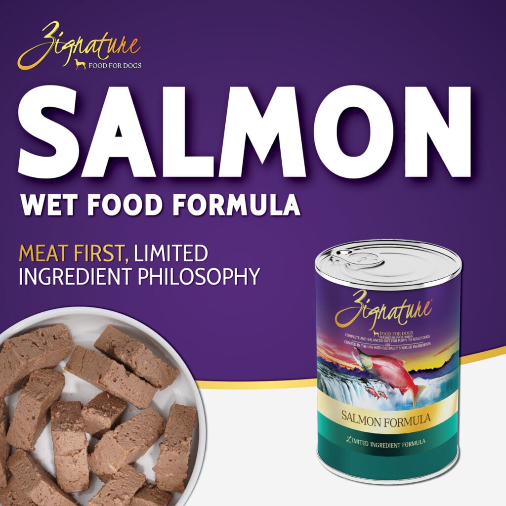 Zignature Limited Ingredient Salmon Pâté wet dog food 13 oz can