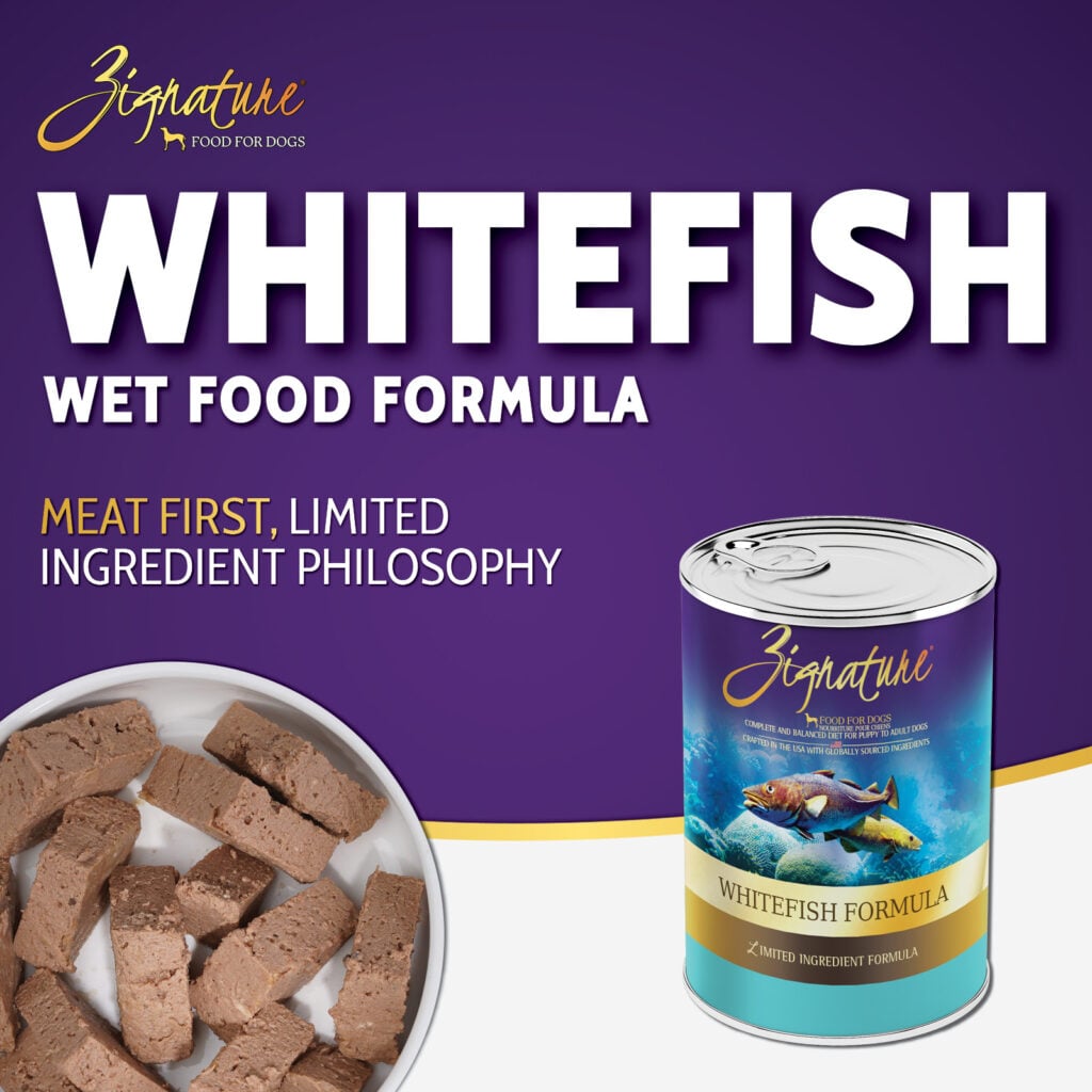 Zignature Limited Ingredient Whitefish wet dog food pâté 13 oz can