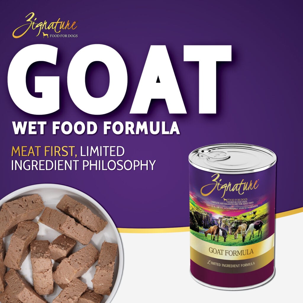 Zignature Limited Ingredient Goat Pâté wet dog food 13 oz can