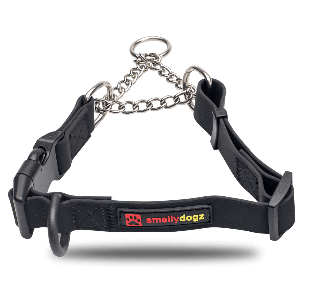 Smellydogz Martingale Collar black 3/4 in 14-16 in dog training collar