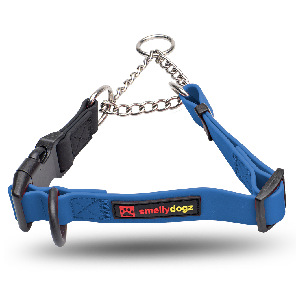 Smellydogz Martingale Collar blue 0.75 in 14-16 in