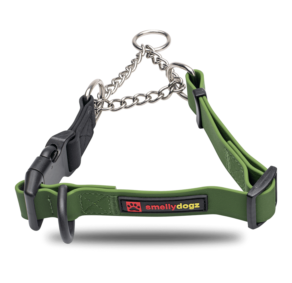 Smellydogz Martingale Collar olive green 0.75 in 14-16 in