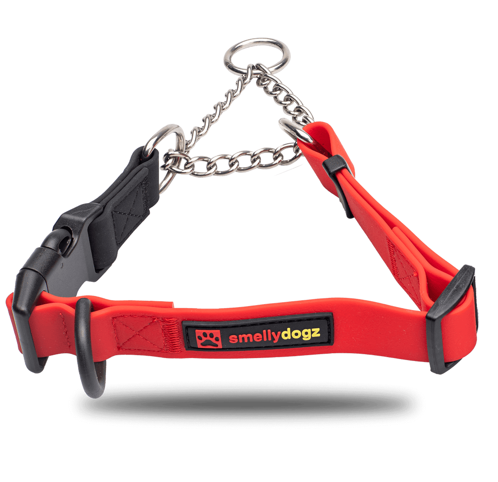 Smellydogz Martingale Collar red 0.75 in 14-16 in