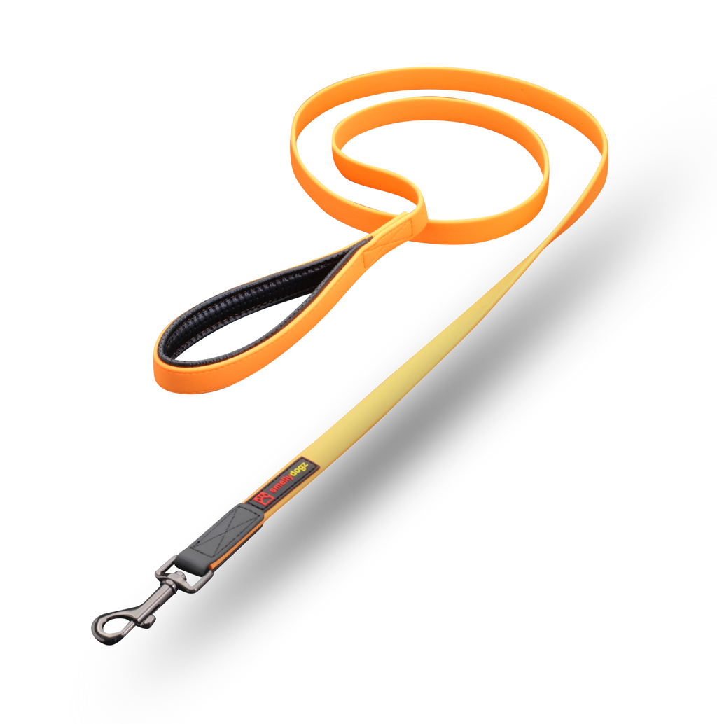 Smellydogz Comfort Lead orange 3/4 inch 6 foot leash