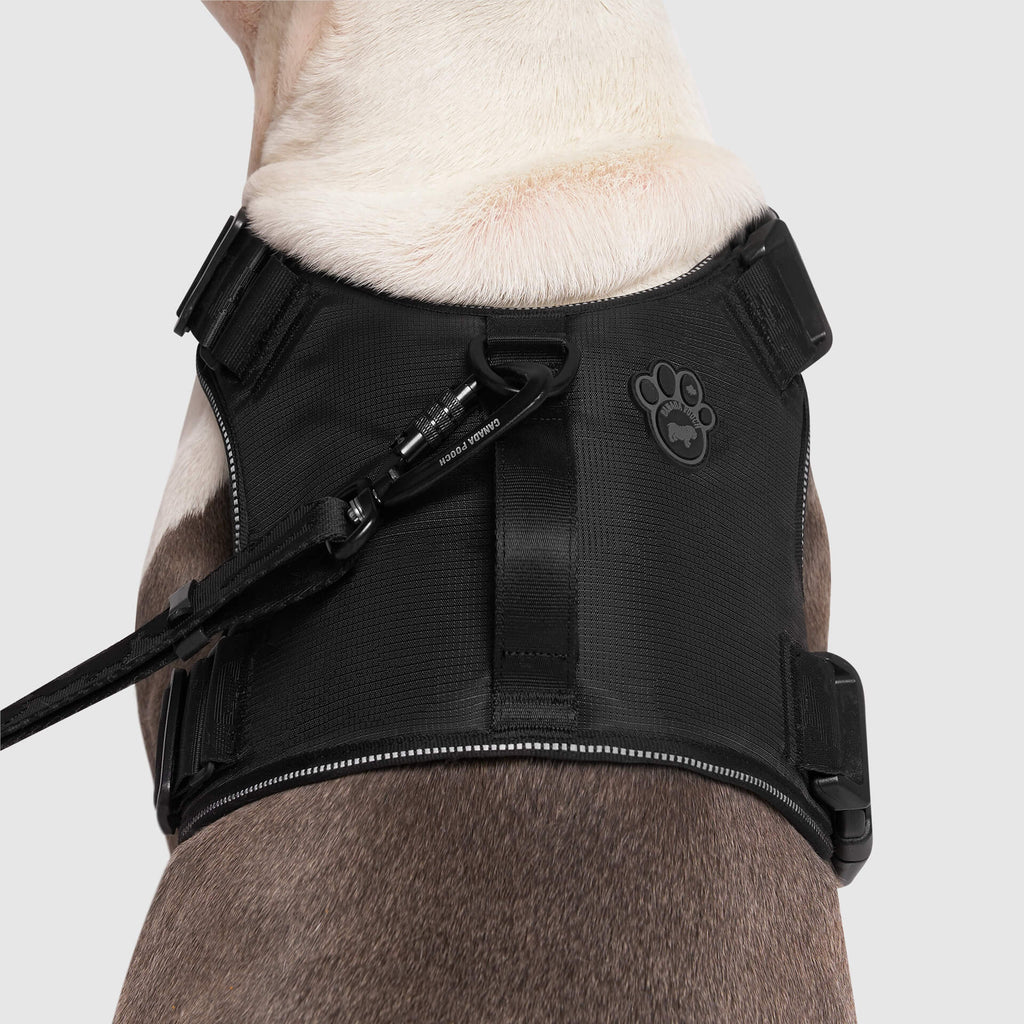 Canada Pooch Complete Control No-Pull Dog Harness in Black, XXL