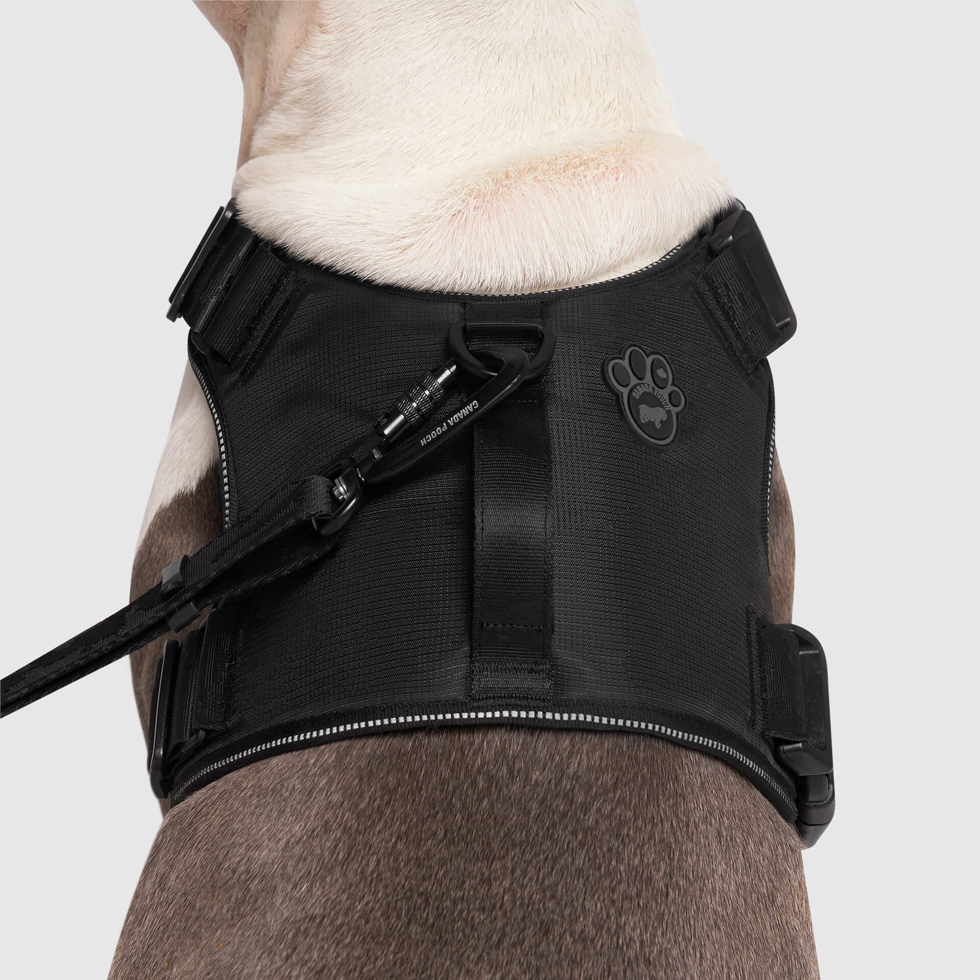 Canada Pooch Complete Control No-Pull Dog Harness in Black, Large