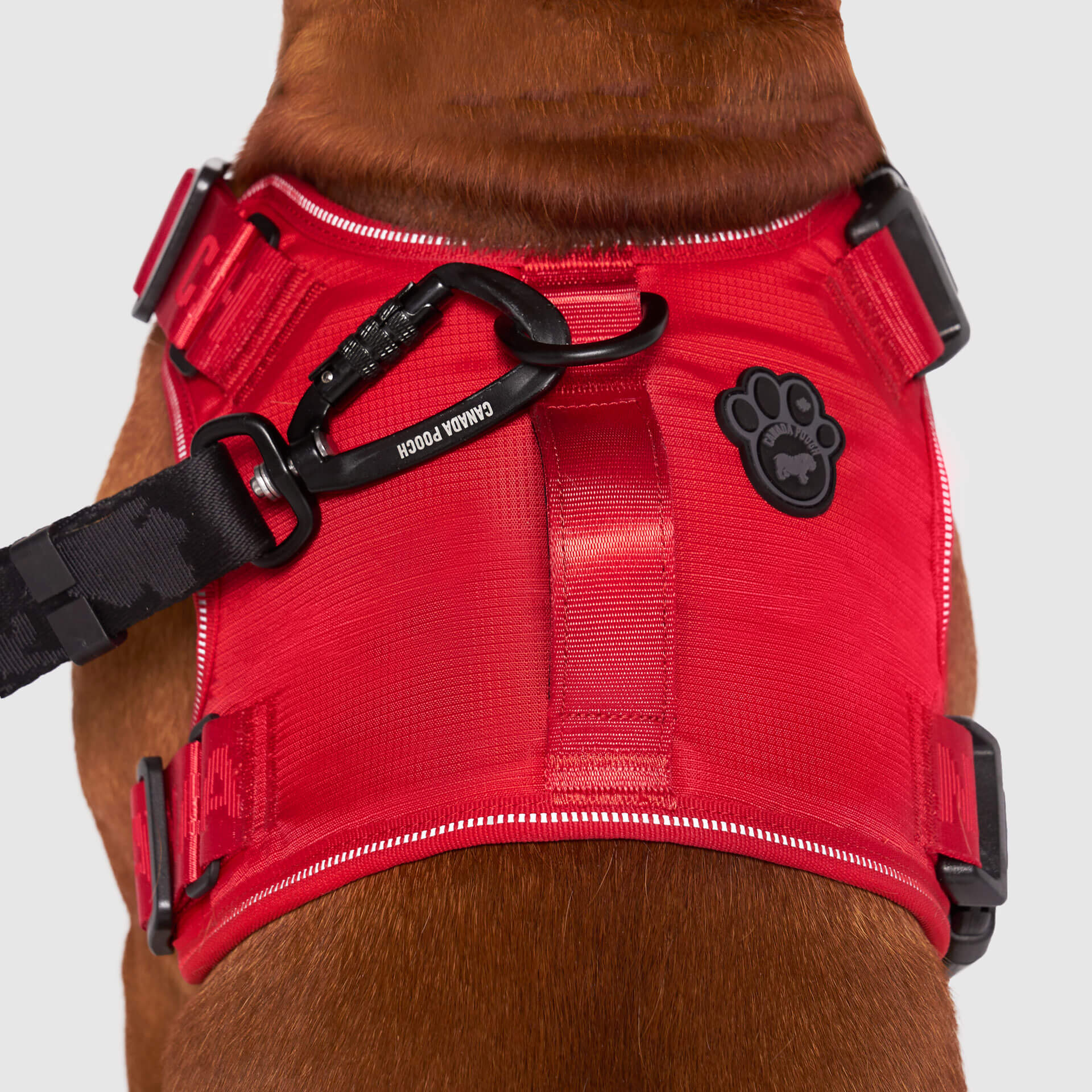 Canada Pooch Core Complete Control no-pull dog harness in red, XXL size