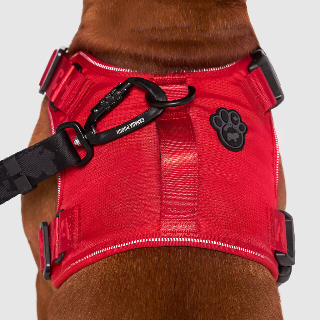 Canada Pooch Complete Control No-Pull Dog Harness in Red, Large
