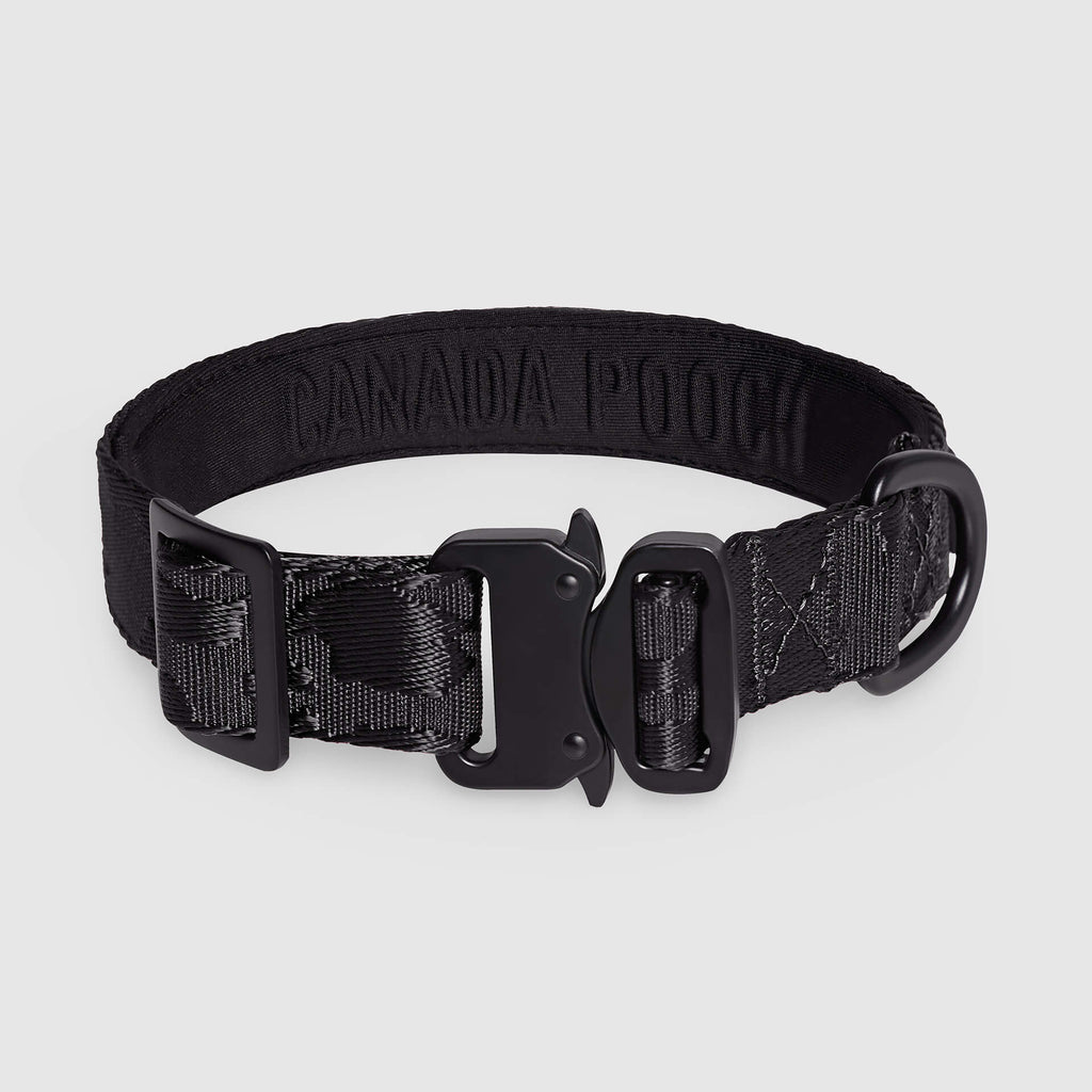 Canada Pooch Core Utility Collar Black Camo Small