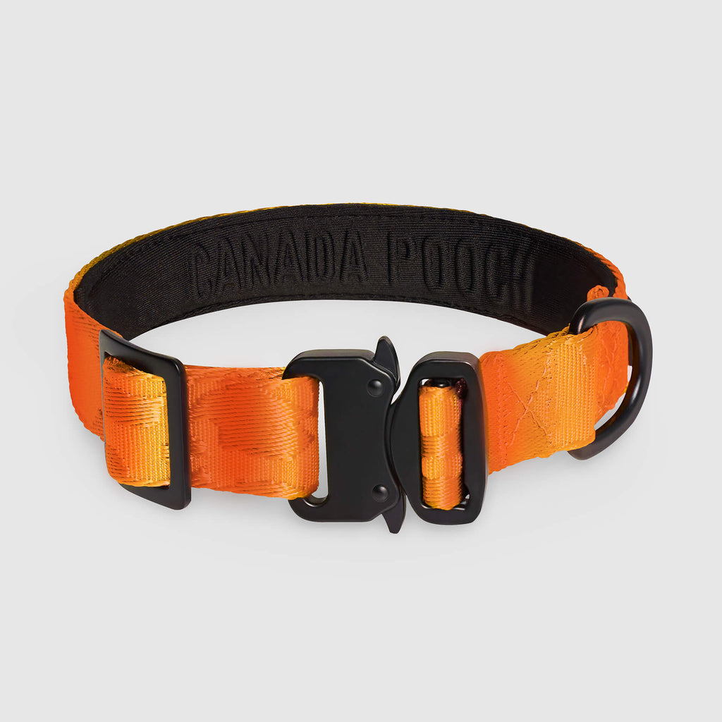 Canada Pooch Core Utility Collar Orange Camo Small