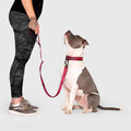 Canada Pooch Core Utility Leash plum camo small medium
