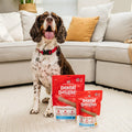 Stella & Chewy's Dental Delights Medium Dog Dental Treats 5.5 oz