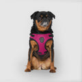 Canada Pooch Core Easy-On Step-In Dog Harness in Plum, size X-Small