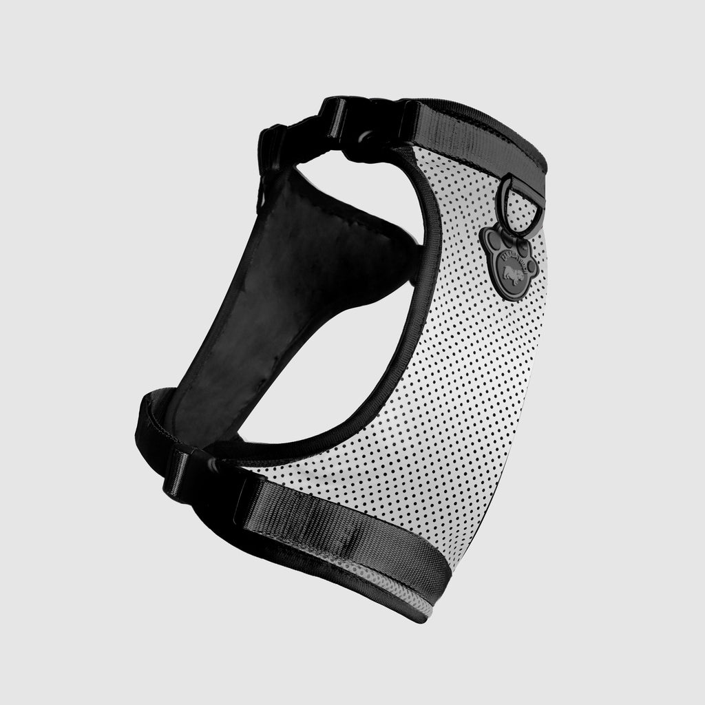 Canada Pooch Core Everything Harness reflective mesh, size S