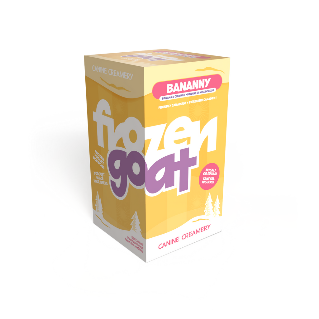 Big Country Raw Frozen Goat Bananny 300 mL banana coconut frozen dog treat