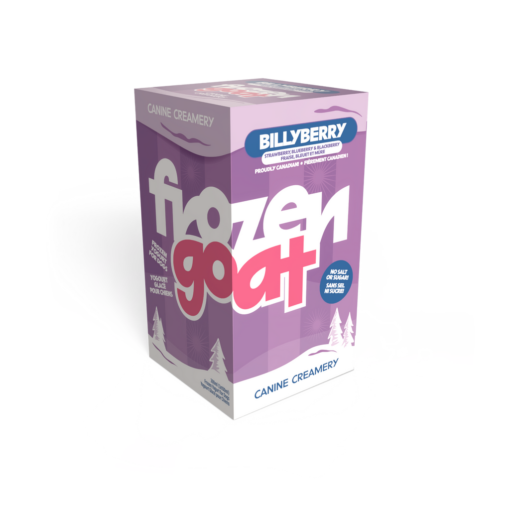 Big Country Raw Frozen Goat Billyberry frozen yogurt treat 300 mL three-cup box