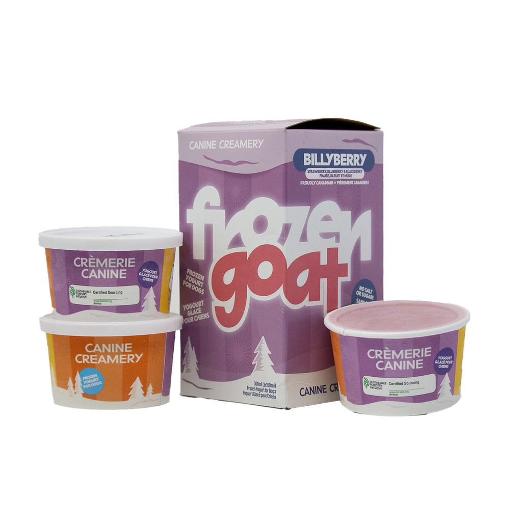 Big Country Raw Frozen Goat Billyberry frozen yogurt treat 300 mL three-cup box