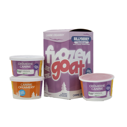 Big Country Raw Frozen Goat Billyberry frozen yogurt treat 300 mL three-cup box