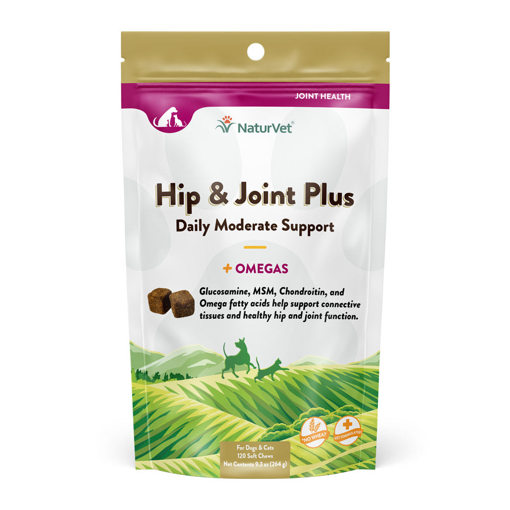 NaturVet Hip & Joint Plus Omegas soft chews for dogs