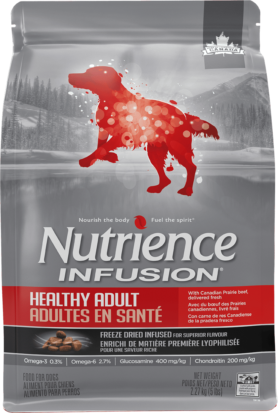 Nutrience Infusion Healthy Adult Beef Recipe dry dog food kibble bag 10 kg