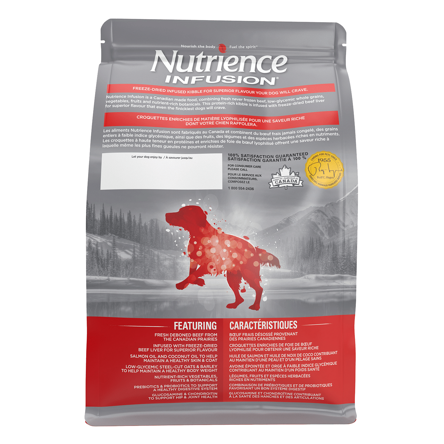 Nutrience Infusion Healthy Adult Beef Recipe dry dog food kibble bag 10 kg