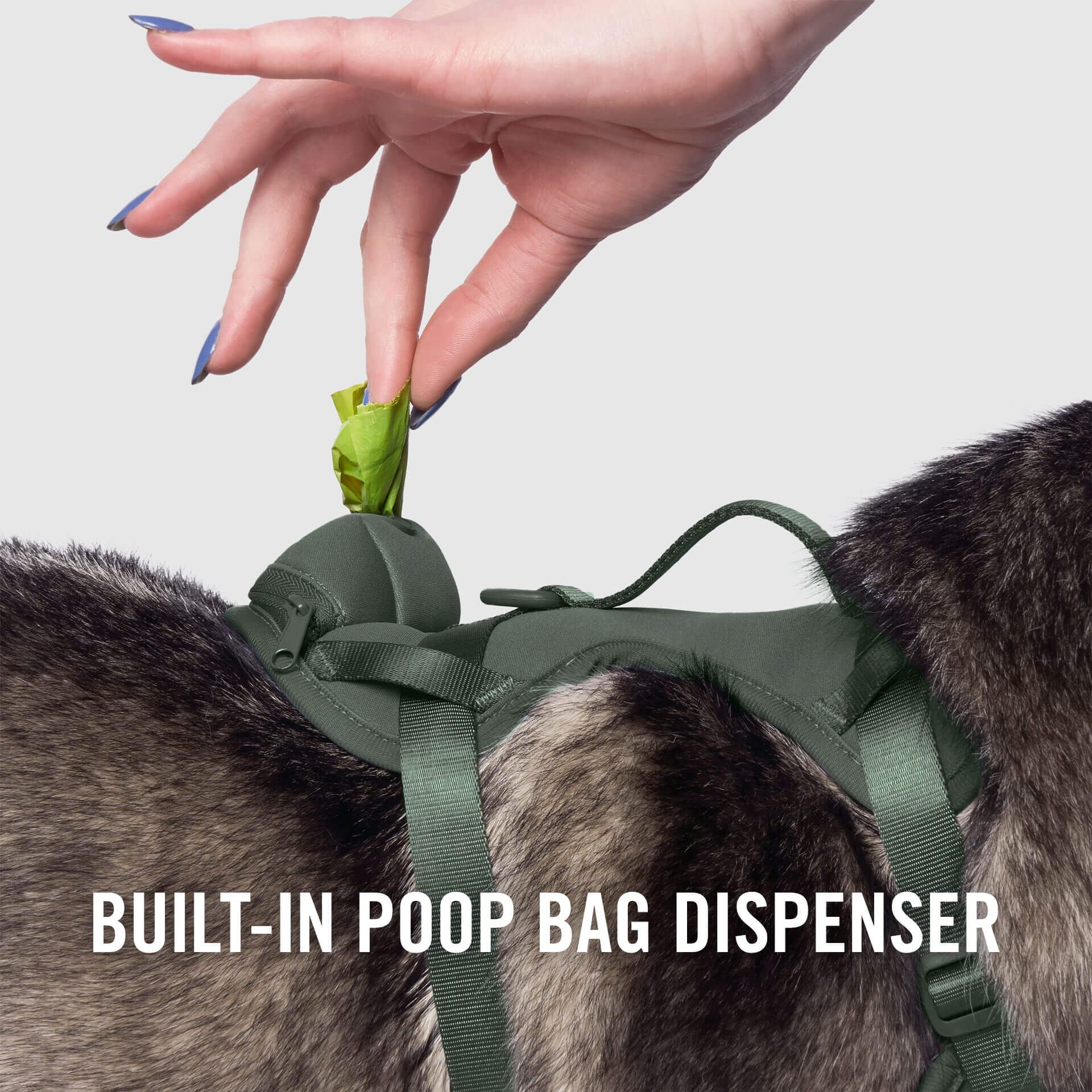 Canada Pooch Core Everything Neoprene Harness with Poop Bag Dispenser in Green, size XL