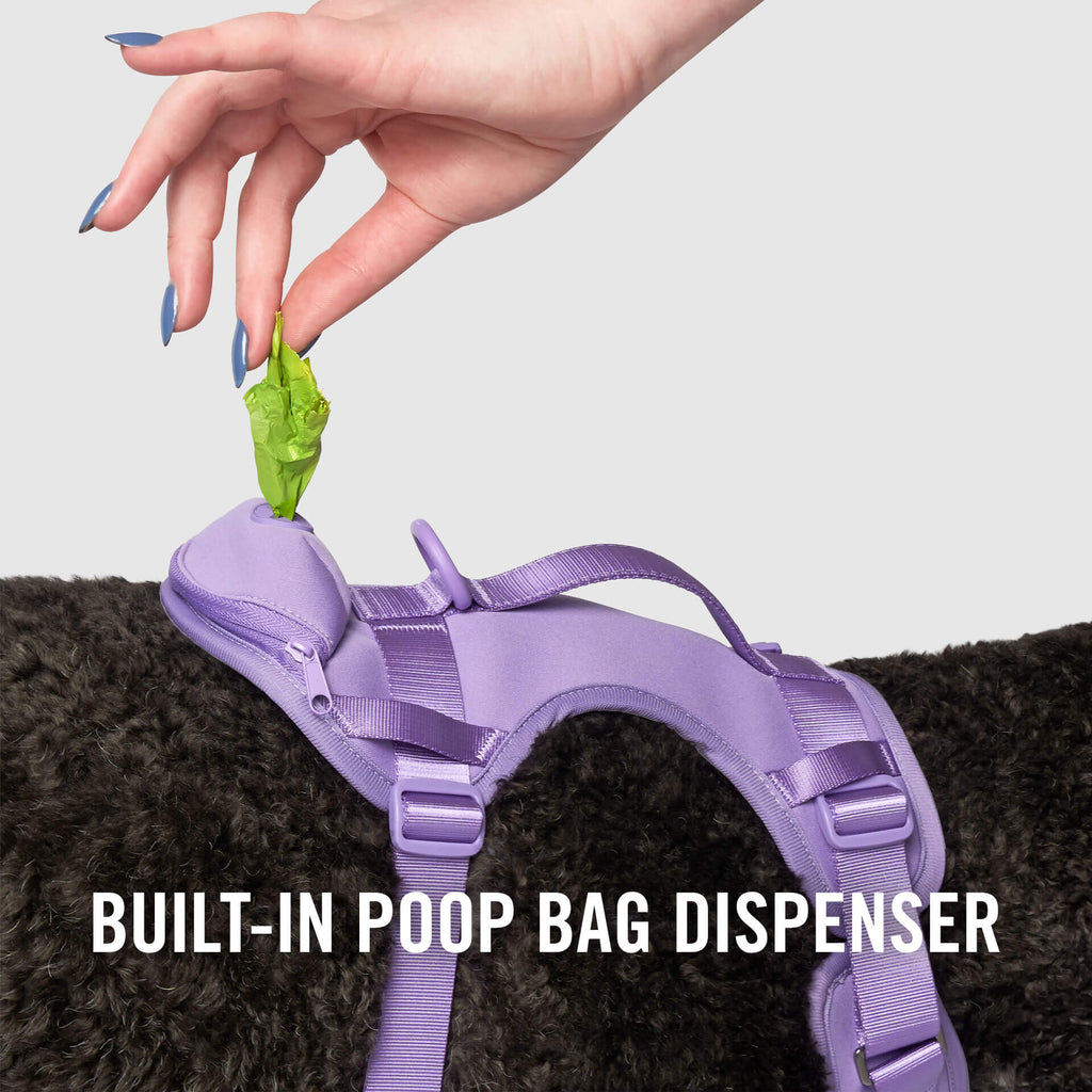 Canada Pooch Core Everything Harness with poop bag dispenser lavender medium