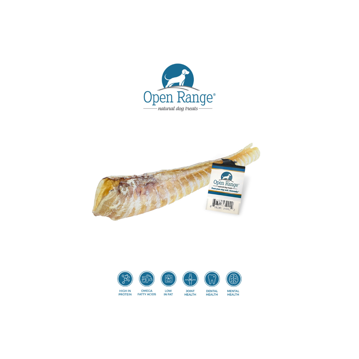 Open Range Beef Trachea 12 inch single-ingredient chew for dogs