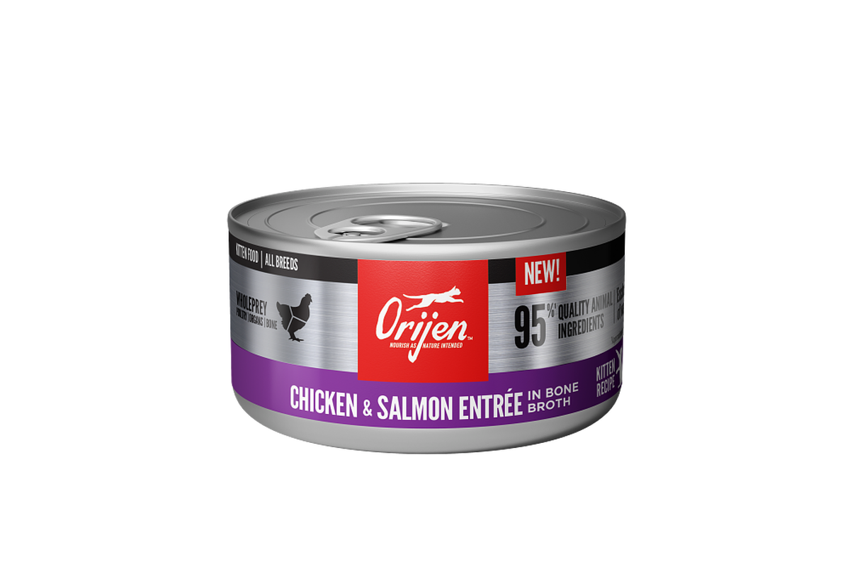 ORIJEN Chicken & Salmon Entree for Kittens wet cat food pâté 155g can