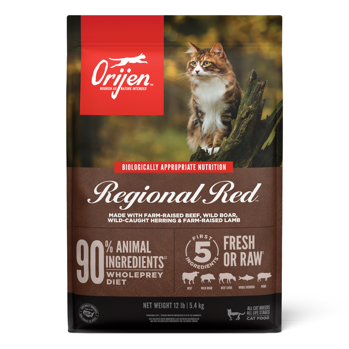ORIJEN Regional Red dry cat food bag 1.8 kg