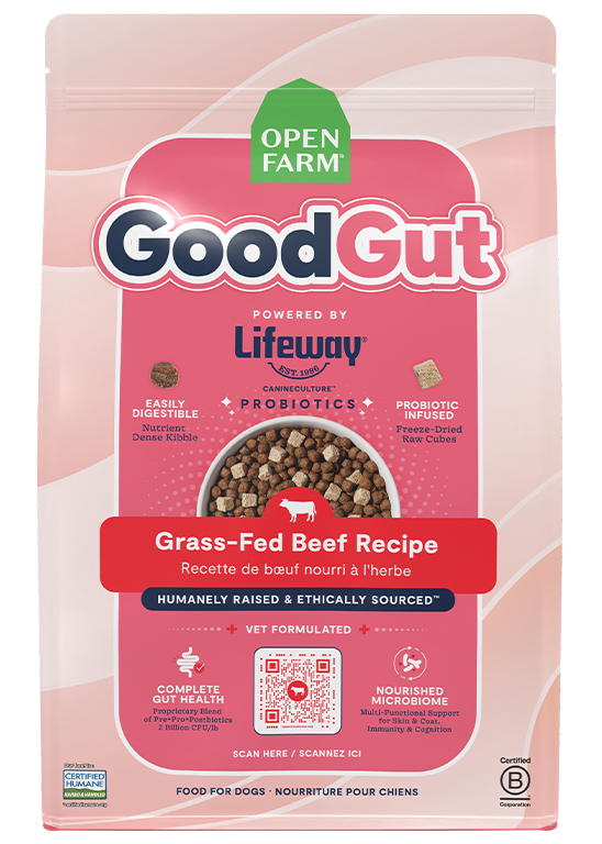 Open Farm GoodGut Grass-Fed Beef dry dog food 3.5 lb bag